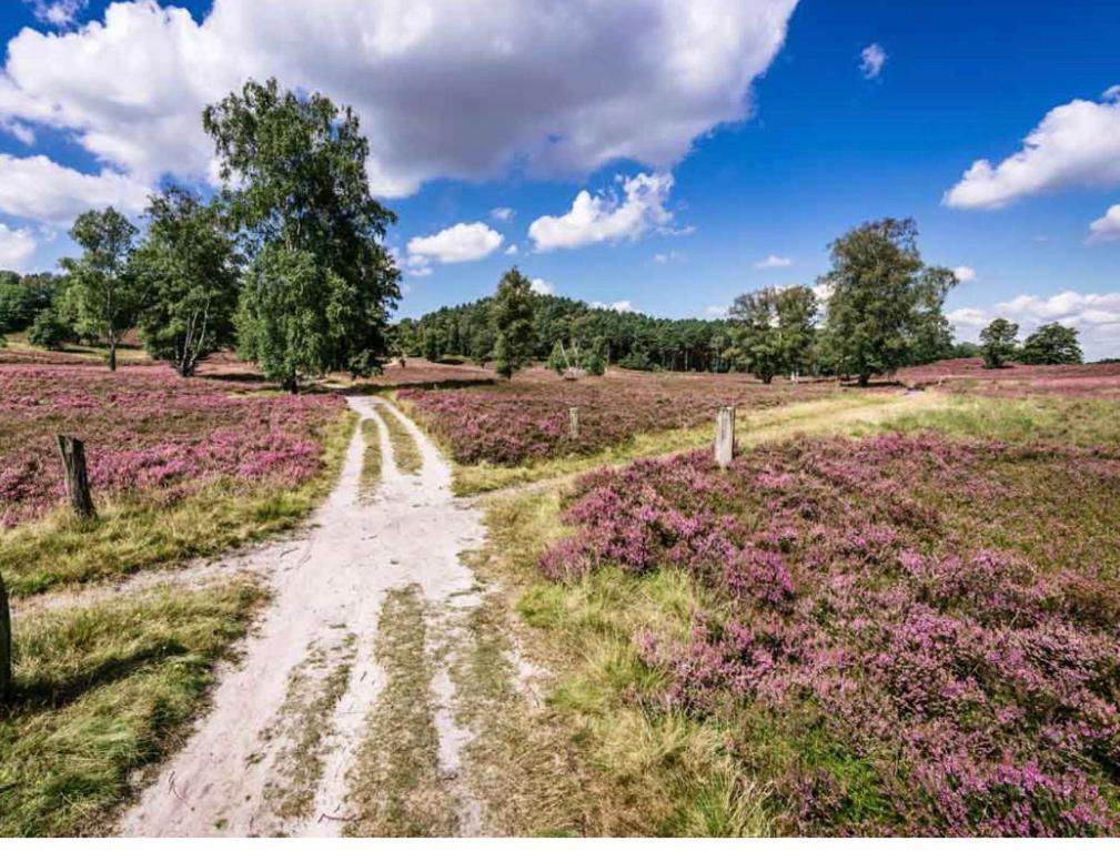 Feelslikehome - Reihenhaus Zwischen Hamburg Und Heide Mit Garten&Garage Neu Wulmstorf Eksteriør bilde