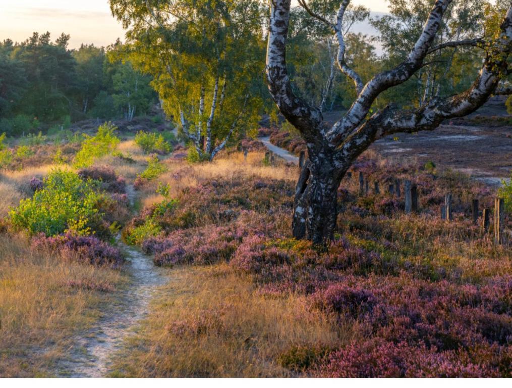 Feelslikehome - Reihenhaus Zwischen Hamburg Und Heide Mit Garten&Garage Neu Wulmstorf Eksteriør bilde